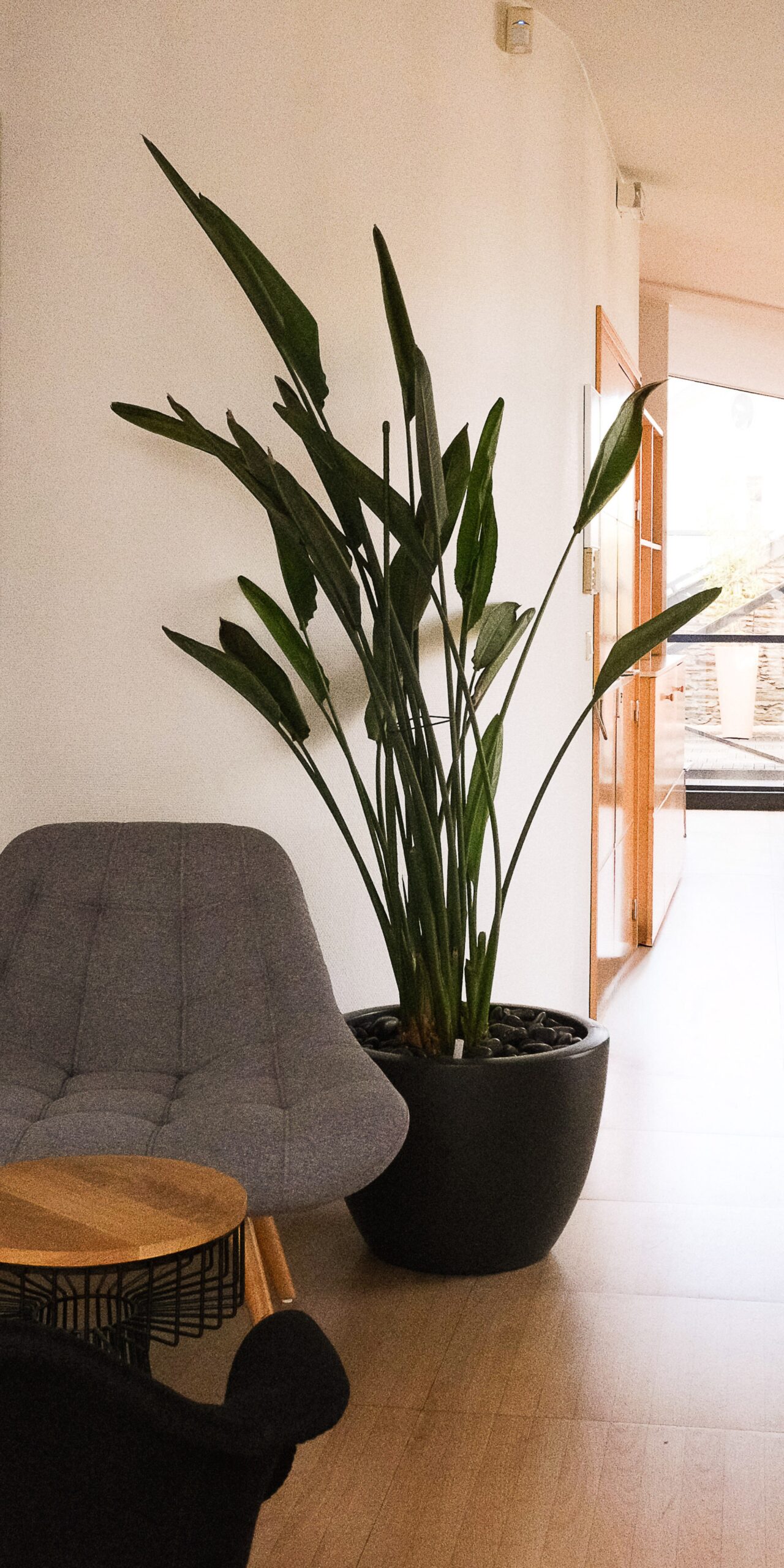 Cabinet de conseil en gestion de patrimoine à Nantes